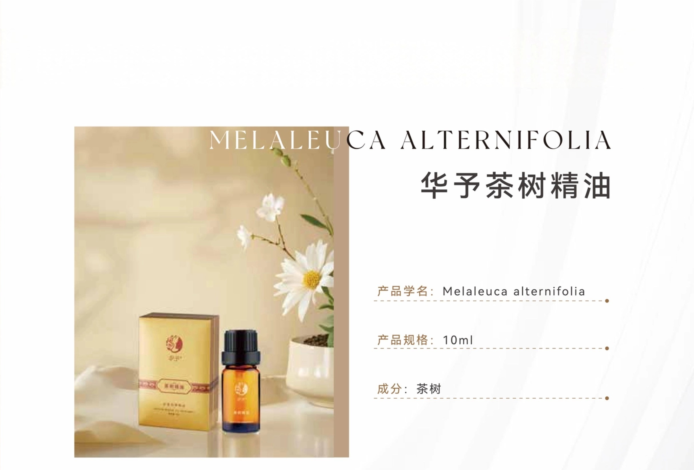 15-2华予茶树精油-1.jpg